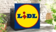 Lidl : ces accessoires de jardin vont égayer votre extérieur et ils sont en promotion