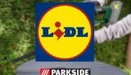 Lidl : ces outils Parkside à moins de 30 euros séduisent de plus en plus de jardiniers