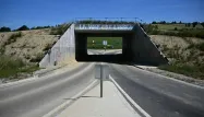 Le chantier de l'A69 reprendra à partir de mi-juin, un soulagement pour les entreprises chargées des travaux.