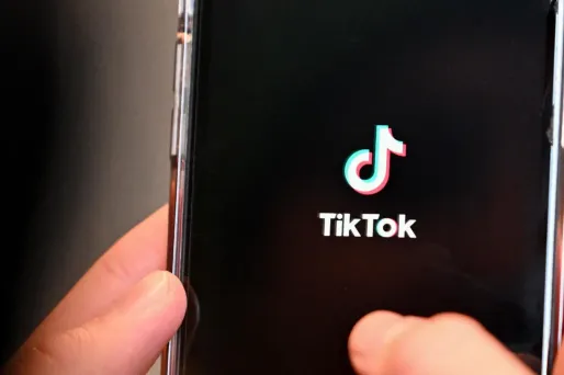 Frères musulmans : comment les islamistes ont phagocyté TikTok pour embrigader la jeunesse